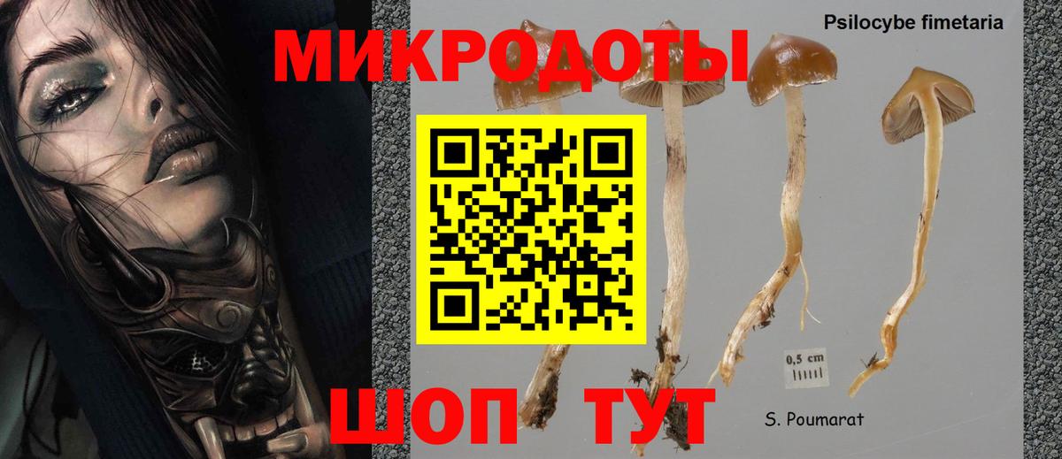 Галлюциногенные грибы MAGIC MUSHROOMS  продажа наркотиков  Юрга  Вход с VPN 